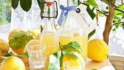 Limoncello selber machen Rezept - Foto: Fotolia/scerpica