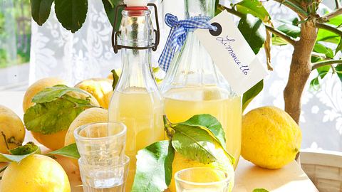 Limoncello selber machen Rezept - Foto: Fotolia/scerpica