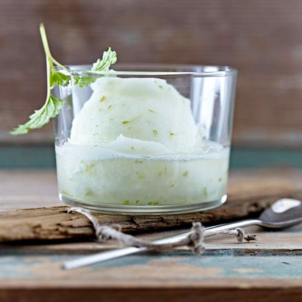 Limonensorbet mit Gin Rezept