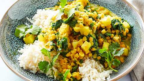 Linsen-Curry zum Aufwärmen - Foto: House of Food / Bauer Food Experts KG