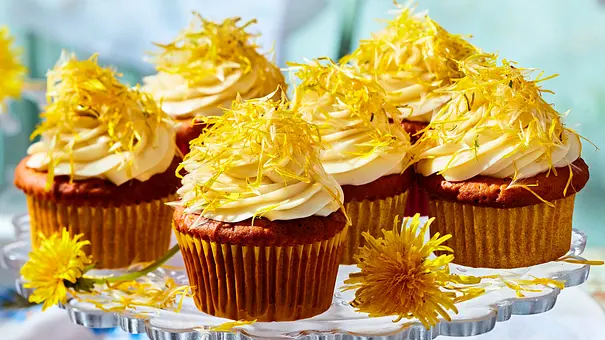 Löwenzahn-Cupcakes mit Buttercreme Rezept - Foto: LECKER @ Bauer Media Group Löwenzahn-Cupcakes mit Buttercreme Rezept - Foto: LECKER @ Bauer Media Group