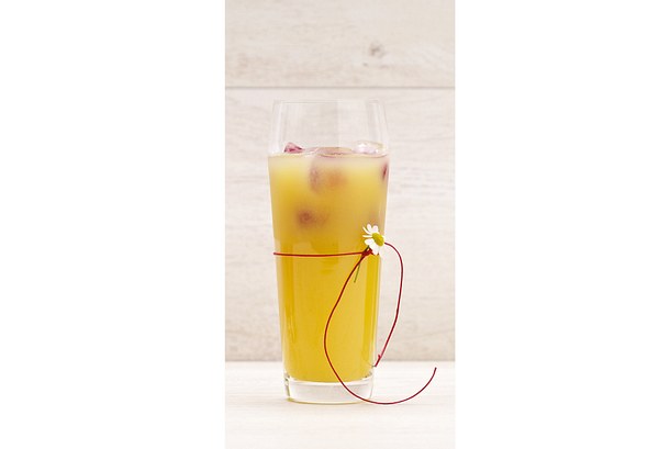 Mango-Apfel-Molke-Drink mit Himbeer-Eiswürfel Rezept Mango-Apfel-Molke-Drink mit Himbeer-Eiswürfel Rezept