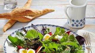 Mangold-Wildkräuter-Salat mit Orangen-Senfdressing Rezept - Foto: House of Food / Bauer Food Experts KG