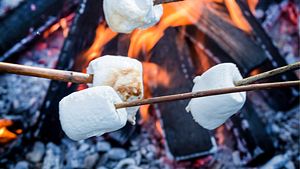 Marshmallows grillen - Foto: Jacek Nowak / Alamy Stock Photo