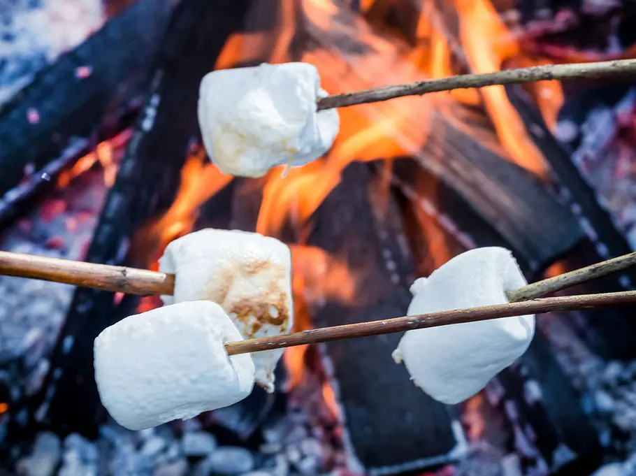 Marshmallows grillen An vier Holzspießen stecken vorne große Marshmallows, die über der Hitze eines Lagerfeuers mit weißer Kohle und kleinen Flammen gegrillt werden.