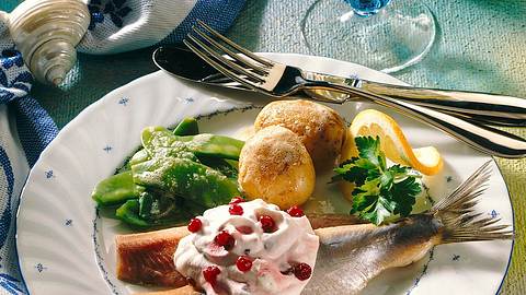 Matjes mit Preiselbeersahne Rezept - Foto: Neckermann