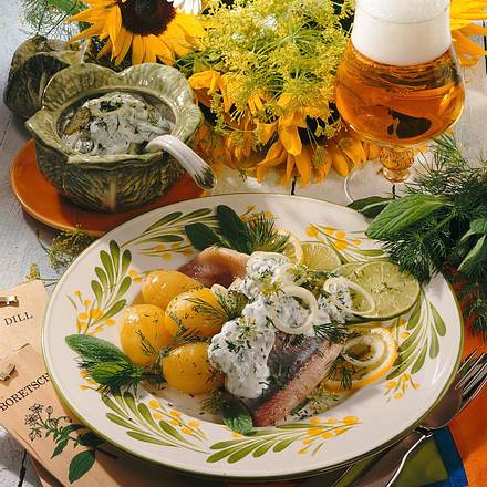 Matjesfilets mit Zwiebel-Dill-Creme Rezept Matjesfilets mit Zwiebel-Dill-Creme Rezept