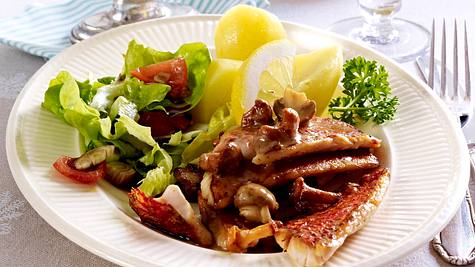 Meerbarbenfilets mit Pilzsoße Rezept - Foto: House of Food / Bauer Food Experts KG