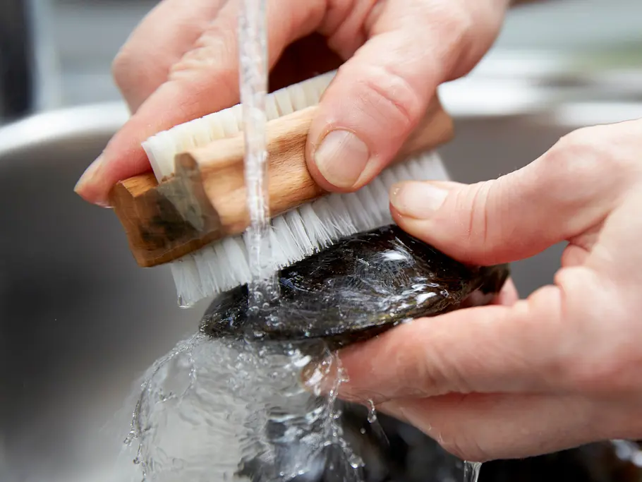 Miesmuscheln putzen