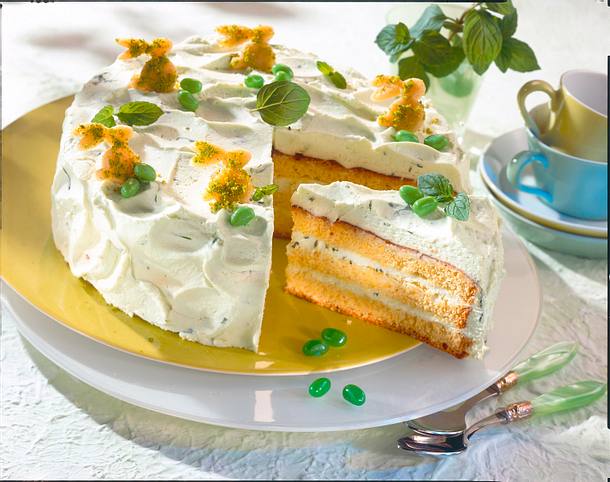 Minzsahnetorte Rezept Minzsahnetorte Rezept