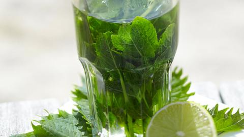 Minztee Rezept - Foto: House of Food / Bauer Food Experts KG