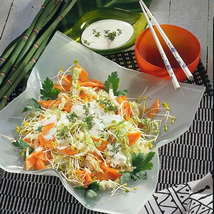 Möhren-Kohl-Salat mit Sprossen Rezept