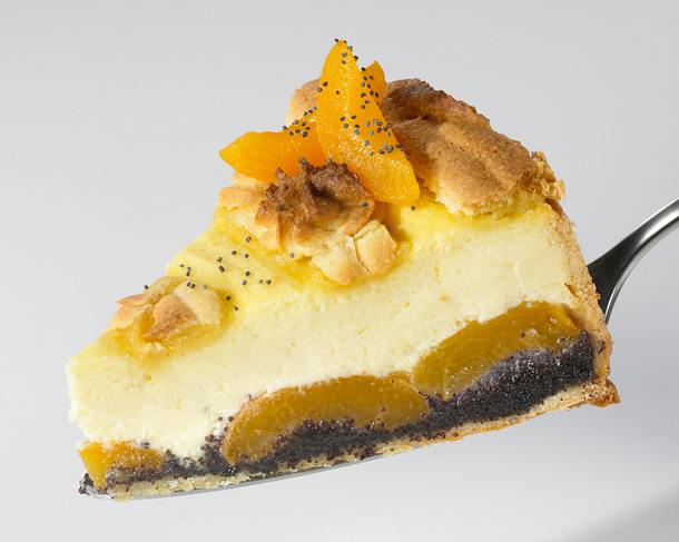 Mohn-Marzipan-Käsekuchen mit Aprikosen Rezept Mohn-Marzipan-Käsekuchen mit Aprikosen Rezept