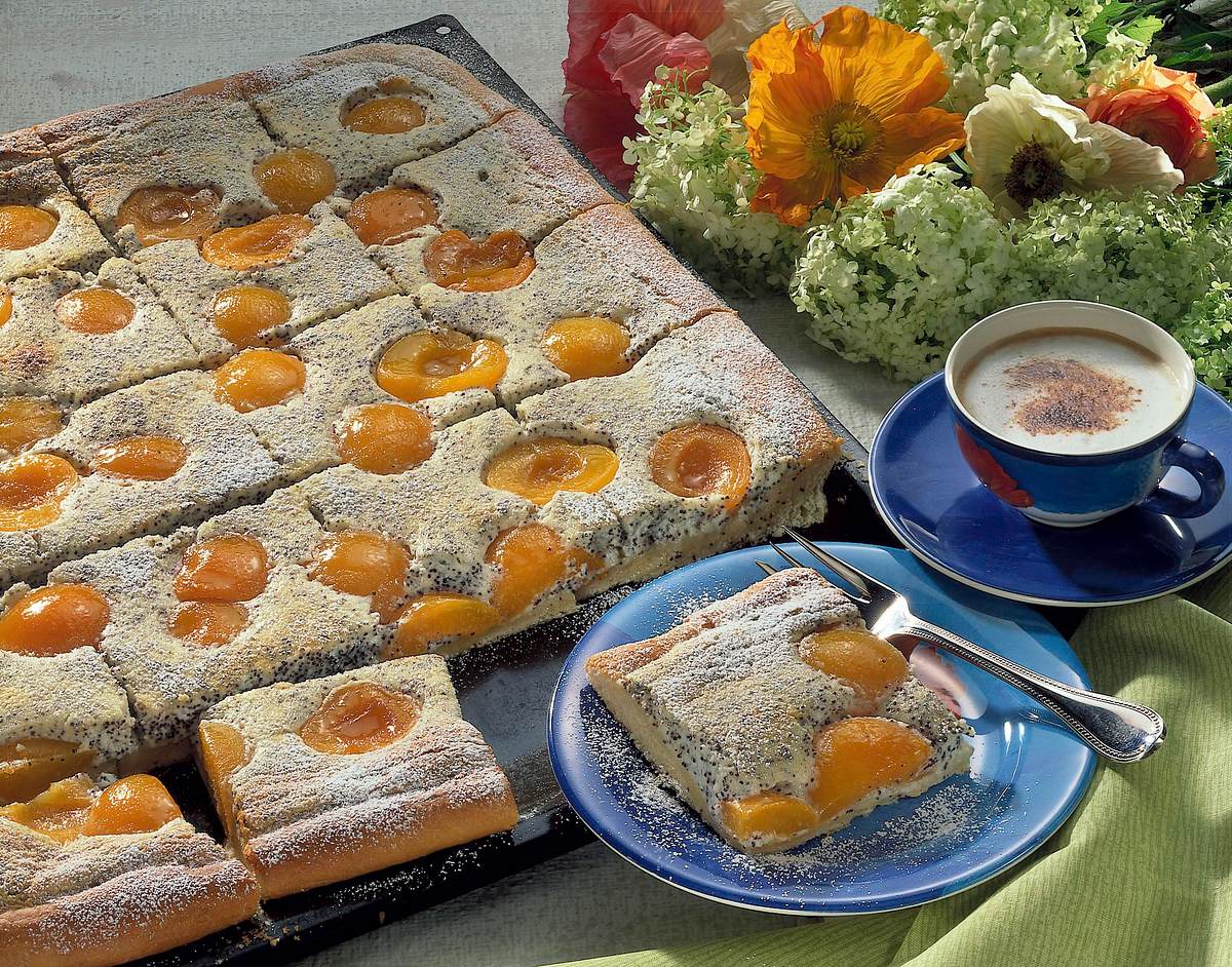 Mohn-Schmand-Kuchen mit Aprikosen (Diabetiker) Rezept