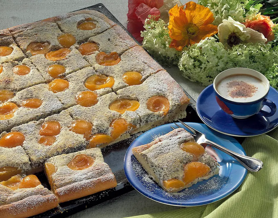 Mohn-Schmand-Kuchen mit Aprikosen (Diabetiker) Rezept Mohn-Schmand-Kuchen mit Aprikosen (Diabetiker) Rezept