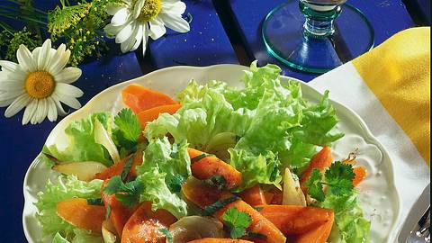 Möhren-Koriander-Salat Rezept - Foto: Horn