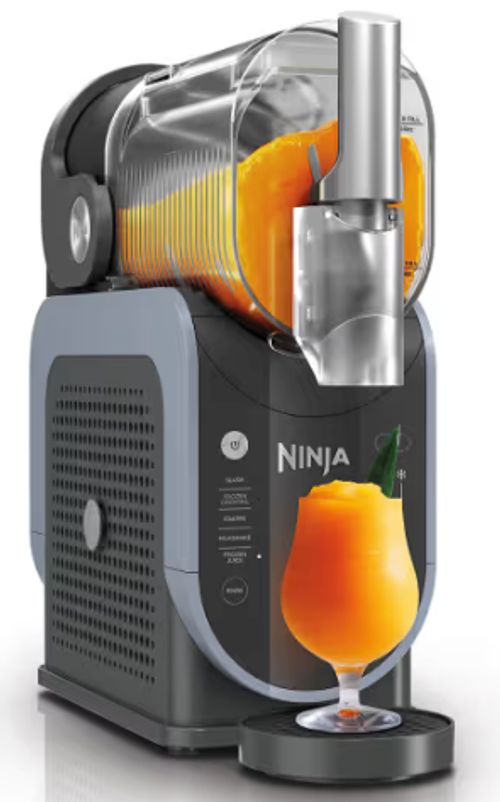 Ninja SLUSHi Grau FS301EU