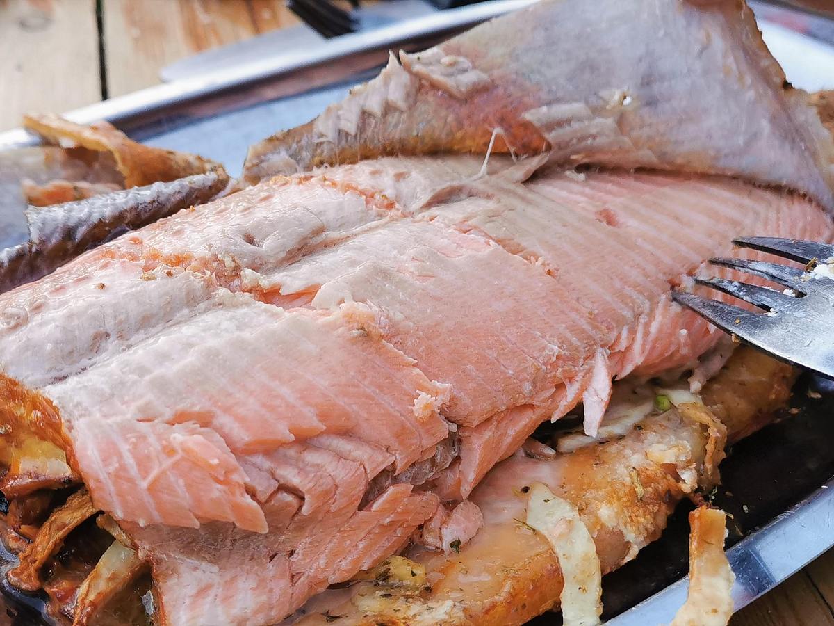 Ninja woodfire Elektrogrill + Smoker Forelle