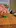 Video Platzhalter Video Platzhalter