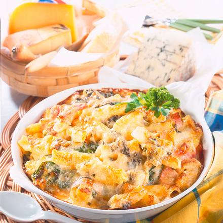 Nudelauflauf mit Vier-Käse-Soße Rezept