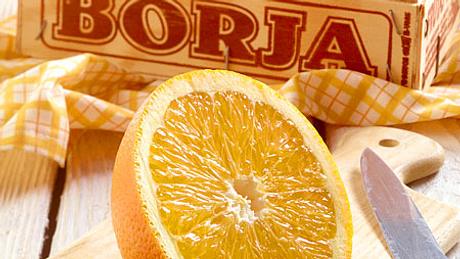 Orange - fruchtig-frischer Vitaminlieferant