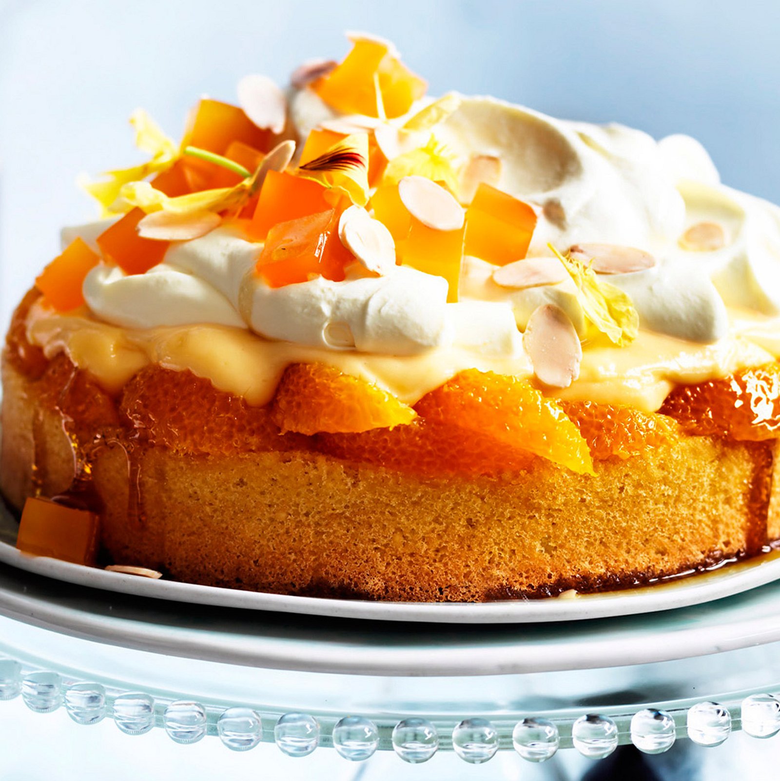 Orangen-Pudding-Torte-image