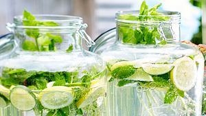 Party-Limonade mit Zitrone, Limette und Minze - Foto: House of Food / Bauer Food Experts KG