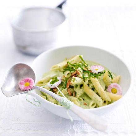 Penne mit Bärlauch-Ziegenfrischkäse-Soße (reguläre Mengenangaben) Rezept Penne mit Bärlauch-Ziegenfrischkäse-Soße (reguläre Mengenangaben) Rezept