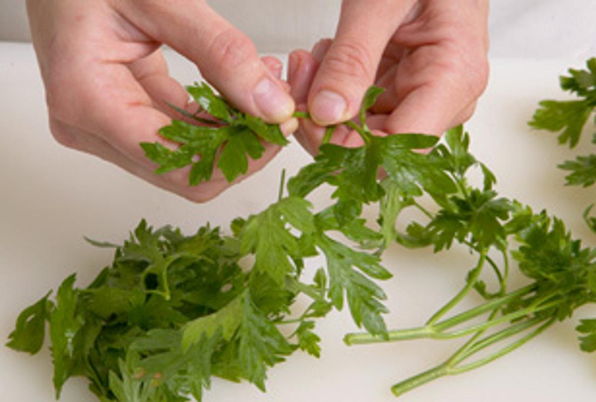 Salsa verde selber machen - so geht's - petersilie_abzupfen