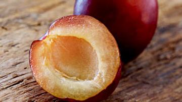 Pflaume - saftig-süße Steinfrucht