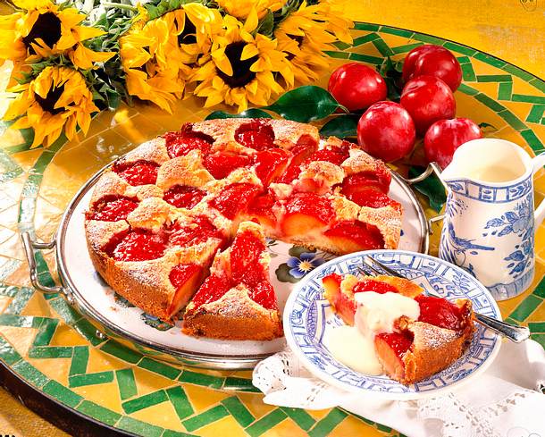Pflaumenkuchen mit Vanillesoße Rezept Pflaumenkuchen mit Vanillesoße Rezept