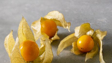 Die Physalis wird auch Anden- oder Kapstachelbeere genannt.