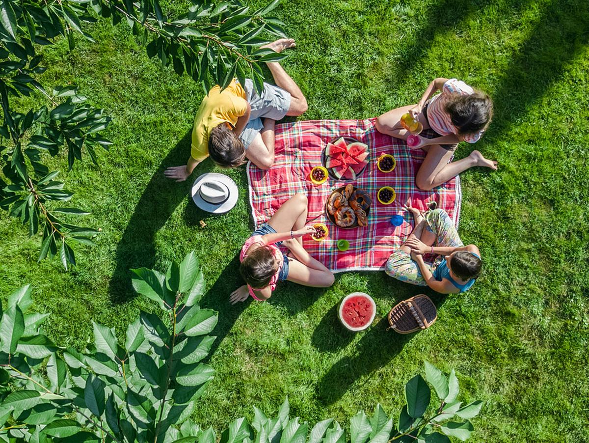 Das sind die schönsten Picknickdecken