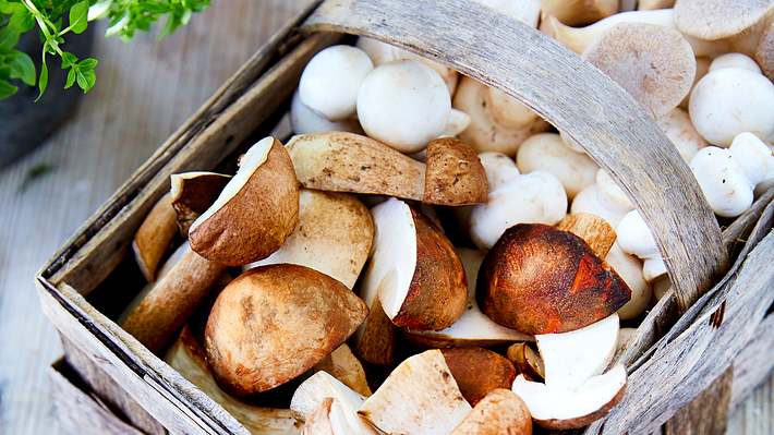 Verschiedene Pilzarten in einem Korb - Foto: House of Food / Bauer Food Experts KG