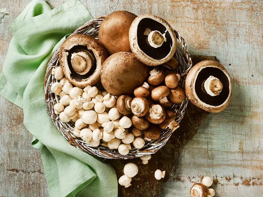 Champignons - die Nummer Eins unter den Speisepilzen PIlzarten: Champignons