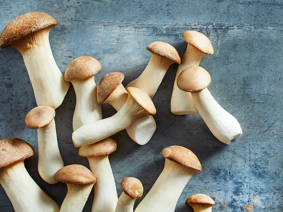 Kräuterseitlinge – würziger Pilz mit kleinem Hut Pilzarten: Kräuterseitlinge