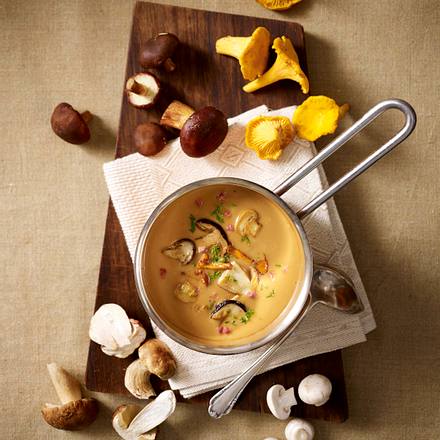 Pilzsoße (für Ernährungsnews) Rezept Pilzsoße (für Ernährungsnews) Rezept