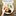 Video Platzhalter Video Platzhalter