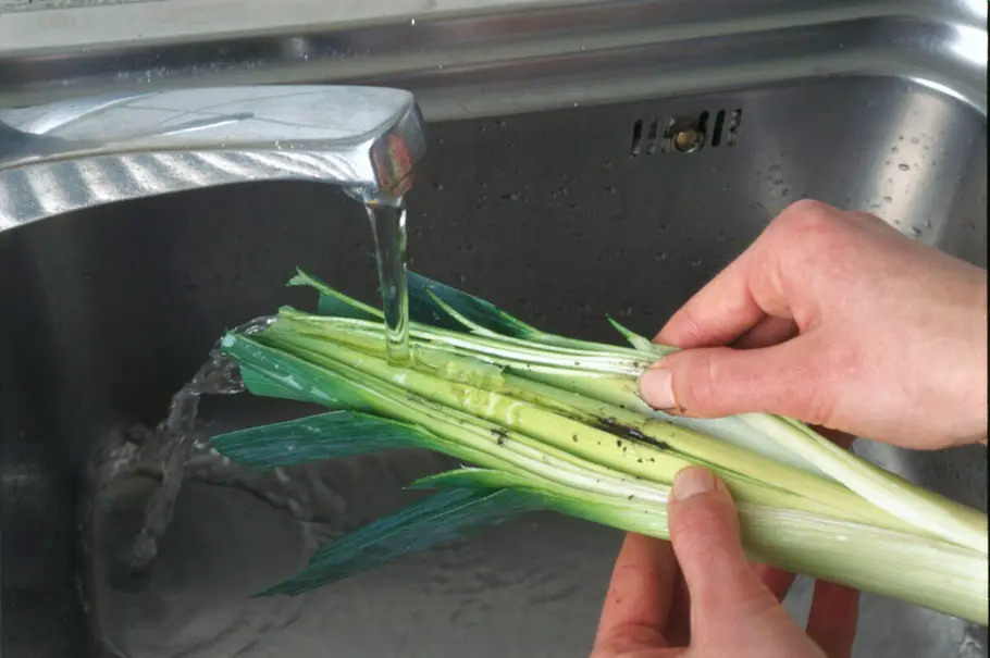 Porree für Käse-Lauch-Suppe waschen Eine aufgeschnittene Lauchstange wird unter fließendem Wasser gewaschen.