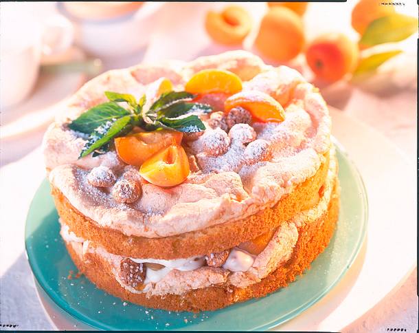 Prosecco-Schaumtorte mit Aprikosen und Amaretti Rezept
