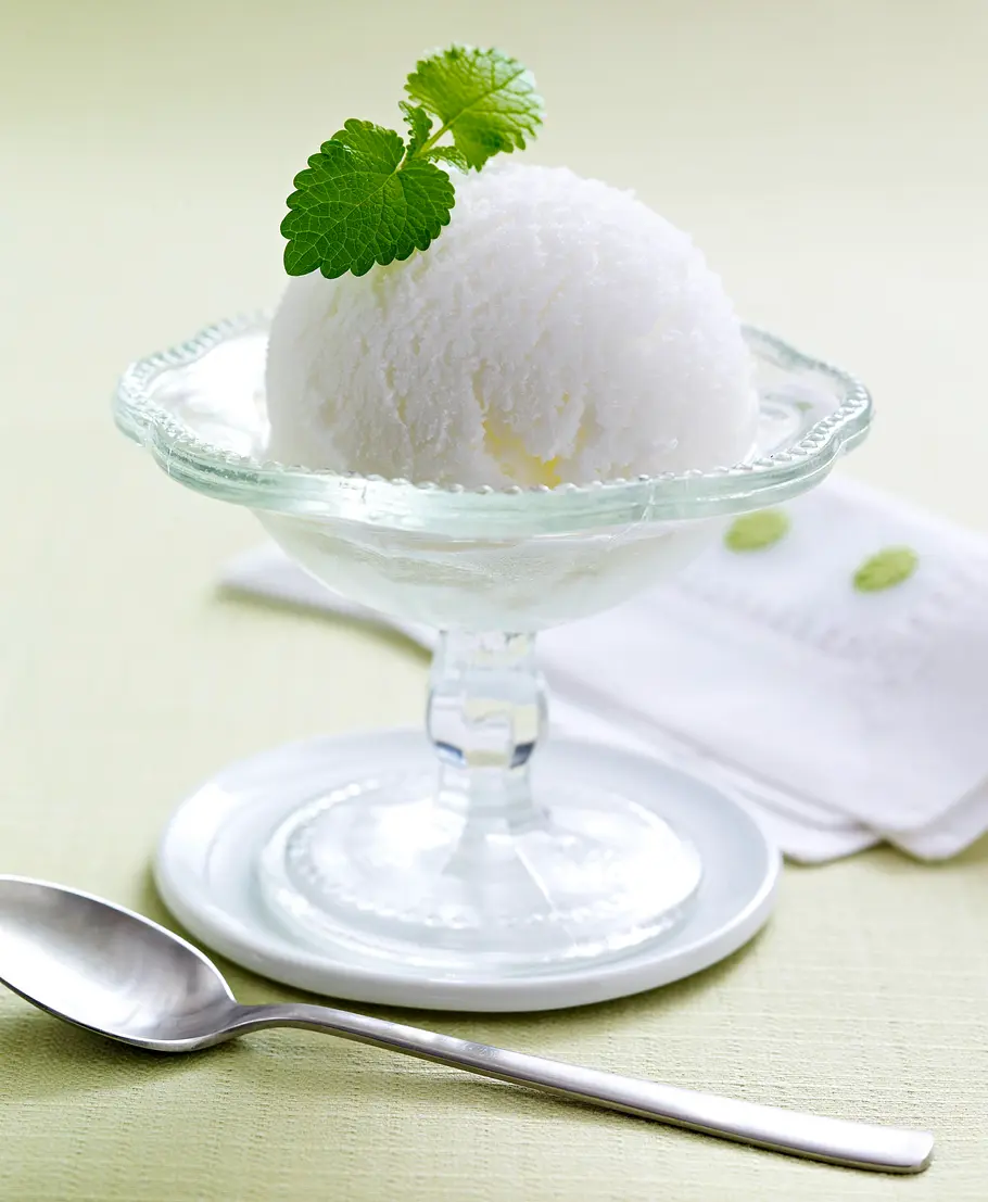 Prosecco-Sorbet Rezept Prosecco-Sorbet Rezept
