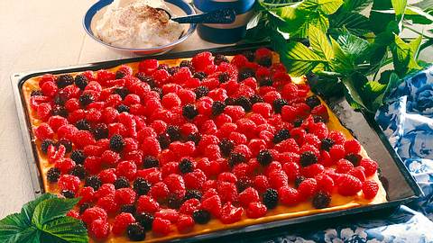Quark-Himbeer-Blechkuchen Rezept - Foto: Neckermann