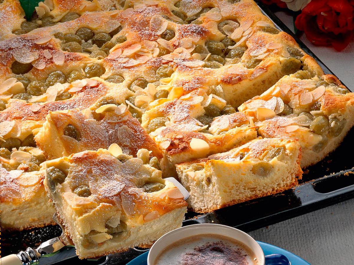 Quark-Stachelbeer-Kuchen Rezept