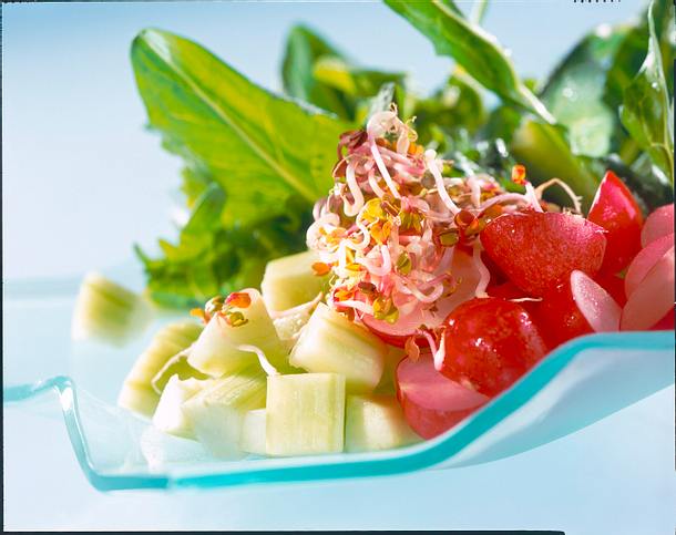 Radieschen-Löwenzahnsalat Rezept Radieschen-Löwenzahnsalat Rezept