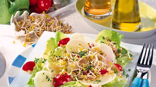 Radieschen-Rettich-Salat mit Sprossen Rezept - Foto: LECKER @ Bauer Media Group
