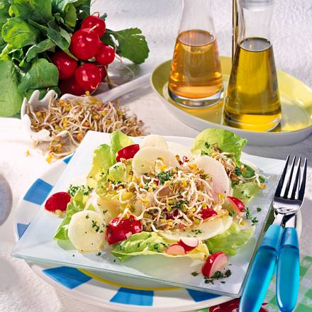 Radieschen-Rettich-Salat mit Sprossen Rezept