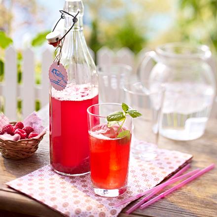 Rhabarber-Himbeer-Sirup Rezept