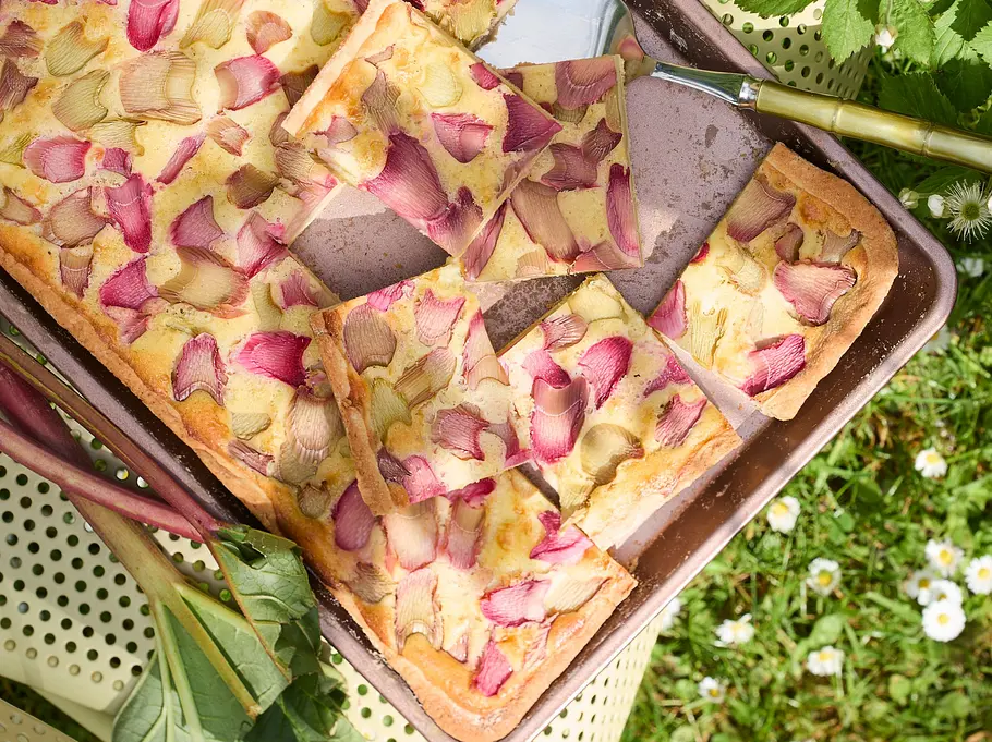 Rhabarber-Käsekuchen vom Blech mit goldgelber Quarkmasse und locker verteilten rosa‑grünen Rhabarberstücken auf einem knusprigen Boden, in gleichmäßige Quadrate geschnitten. Serviert direkt auf dem Backblech mit Tortenheber, die Stücke wirken saftig und fruchtig.