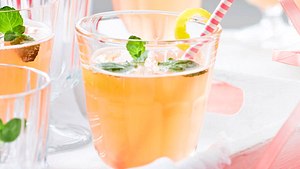 Rhabarber-Minz- Limonade Rezept - Foto: House of Food / Bauer Food Experts KG