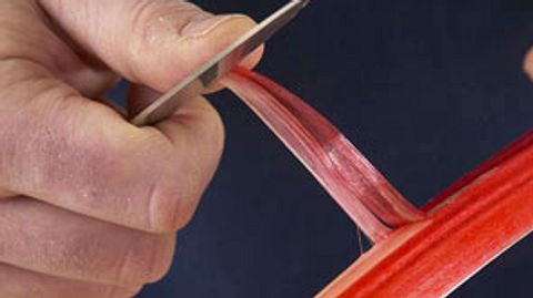 Rhabarber schälen - so gehts Schritt für Schritt - Foto: House of Food / Bauer Food Experts KG